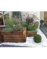 Traverse bois bordure jardin